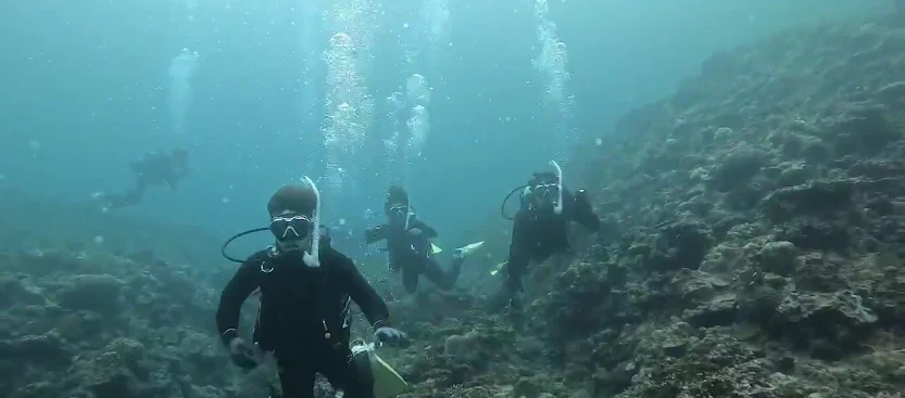 水中ダイビングの写真1